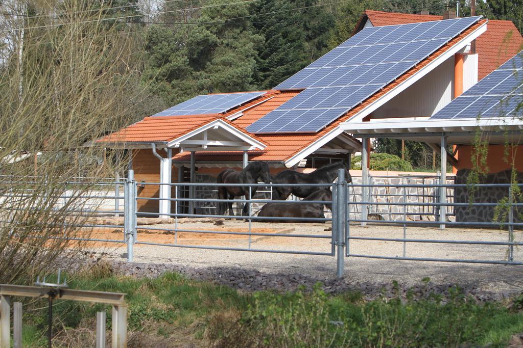 Saarlandtraum Weihermuehle Schmelz Exterior foto